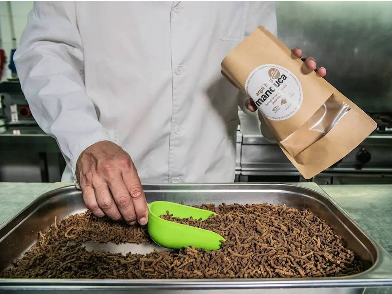 Manduca es un alimento granulado  